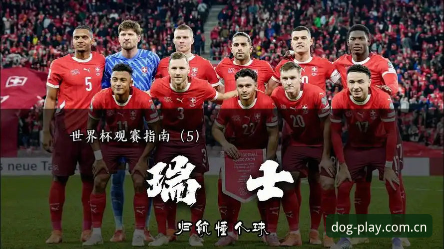 世界杯观赛受阻？从签证困局看跨境数字娱乐的实用避坑指南