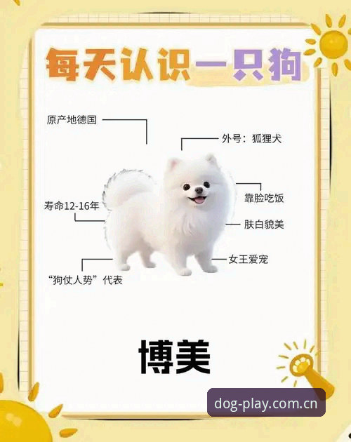 博狗品牌口碑深度分析：用户真实反馈与平台全面解析